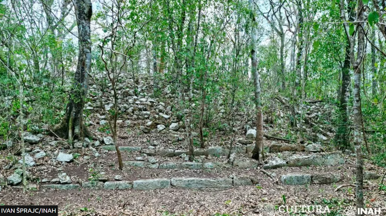 A Mayan city has been discovered among the jungle wetlands